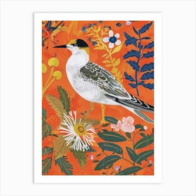 Spring Birds Common Tern 1 Art Print