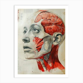 Anatomy Of The Human Head biology Art Print