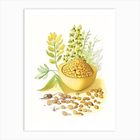 Fenugreek Seed Spices And Herbs Pencil Illustration 3 Art Print