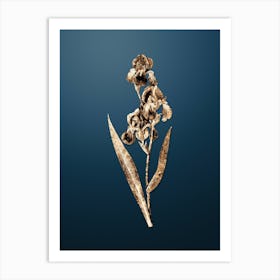 Gold Botanical Dalmatian Iris on Dusk Blue n.2411 Art Print