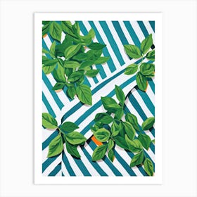 Basil Summer Illustration 8 Art Print