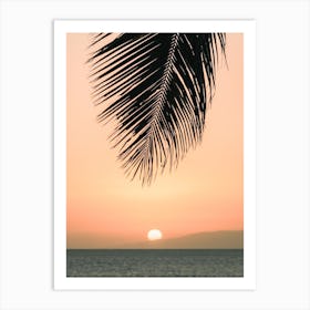 Warm Hawaii Sunset Art Print