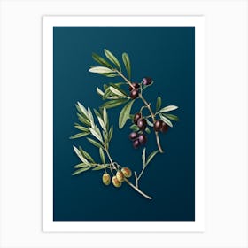 Vintage Olive Botanical Art on Teal Blue n.0487 Art Print