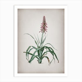 Vintage Pina Cortadora Botanical on Parchment n.0896 Art Print