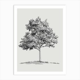 Ash Tree Minimalistic Drawing 1 Art Print