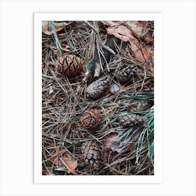 Forest Floor Pinecones Art Print