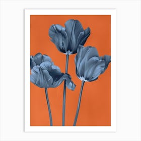 Blue Tulips 3 Art Print