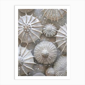 Seashells and urchins Art Print