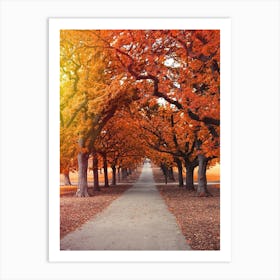 Autumn Trees In The Park Art Print