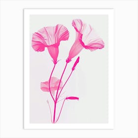 Hot Pink Morning Glory 3 Art Print