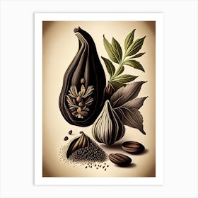 Black Cardamom Spices And Herbs Retro Drawing 1 Art Print