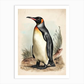 Adlie Penguin Robben Island Vintage Botanical Painting 2 Art Print