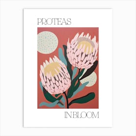 Proteas In Bloom Flowers Bold Illustration 3 Art Print