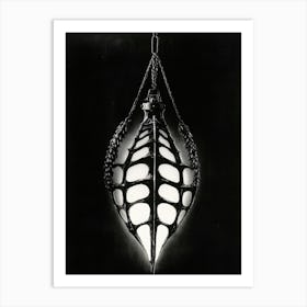 Spider Web Art Print