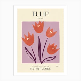 Vintage Purple And Red Tulip Flower Of The Netherlands Art Print