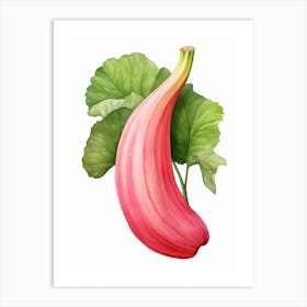 Pink Banana Pumpkin Watercolour Illustration 3 Art Print