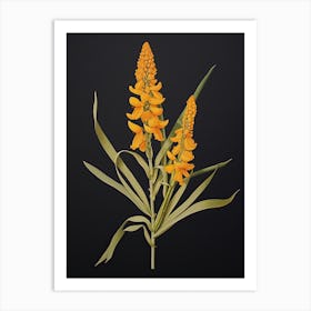 Turmeric Vintage Botanical Herbs 1 Art Print