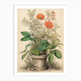 Orange Flowers In A Pot Art Print