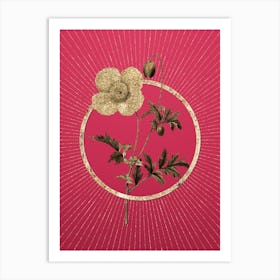 Gold Welsh Poppy Glitter Ring Botanical Art on Viva Magenta n.0251 Art Print