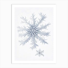 Fernlike Stellar Dendrites, Snowflakes, Pencil Illustration 4 Art Print