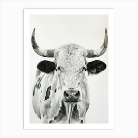 Longhorn Bull 4 Art Print