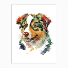 Australian Shepherd Dog Art Print