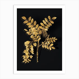 Vintage Black Locust Botanical in Gold on Black n.0340 Art Print