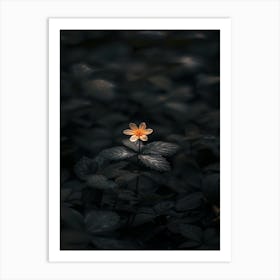 Single Flower In The Dark 76 Art Print