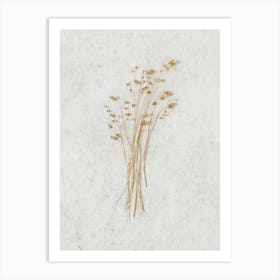 Delicate Wild Botanicals Art Print