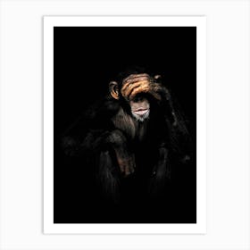 Monkey see no evil Art Print