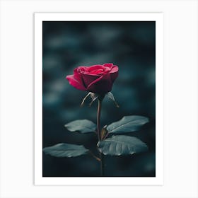 Single Rose 3 Art Print