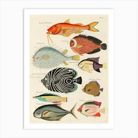Colourful And Surreal Illustrations Of Fishes Found In Moluccas (Indonesia) And The East Indies, Louis Renard(64) Art Print