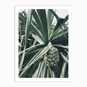 Palm Tree 8 Art Print