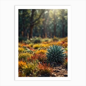 Cactus Garden Art Print