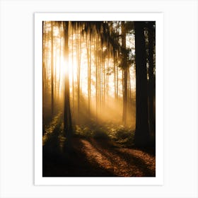 Sunrise In The Forest 4 Art Print