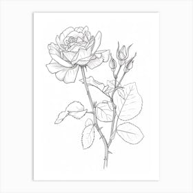 Roses Sketch 25 Art Print