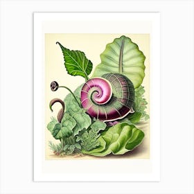 Garden Snail Feeding On Plants 1 Botanical Art Print