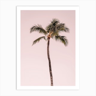 Pink Palm Tree Art Print