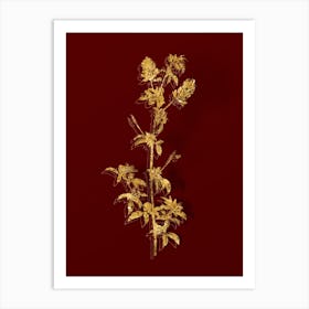 Vintage Spanish Clover Bloom Botanical in Gold on Red n.0353 Art Print