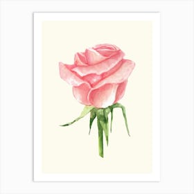 Pink Rose Watercolor Painting Art Print