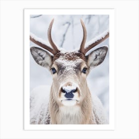 Deer In The Snow 1 Art Print