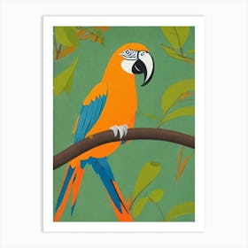 Macaw Midcentury Illustration Bird Art Print