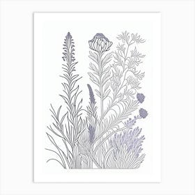 Lavender Herb William Morris Inspired Line Drawing 2 Art Print