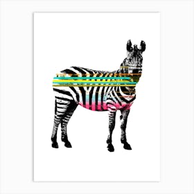 Zebra Barcode Art Print