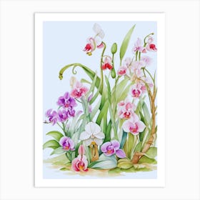 Orchids Art Print