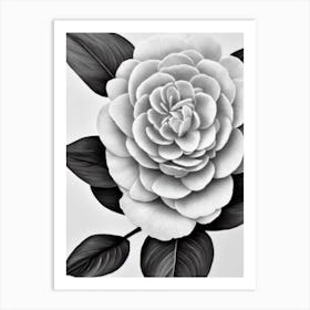 Camellia B&W Pencil 3 Flower Art Print