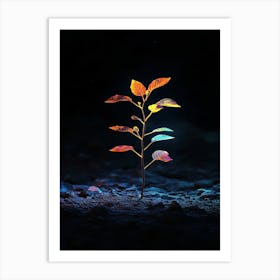 Tree In The Dark 27 Art Print