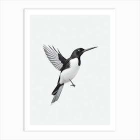 Magpie B&W Pencil Drawing 4 Bird Art Print