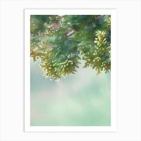 Acropora Suharsonoi Iii Storybook Watercolour Art Print