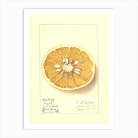 Orange Slice 3 Art Print